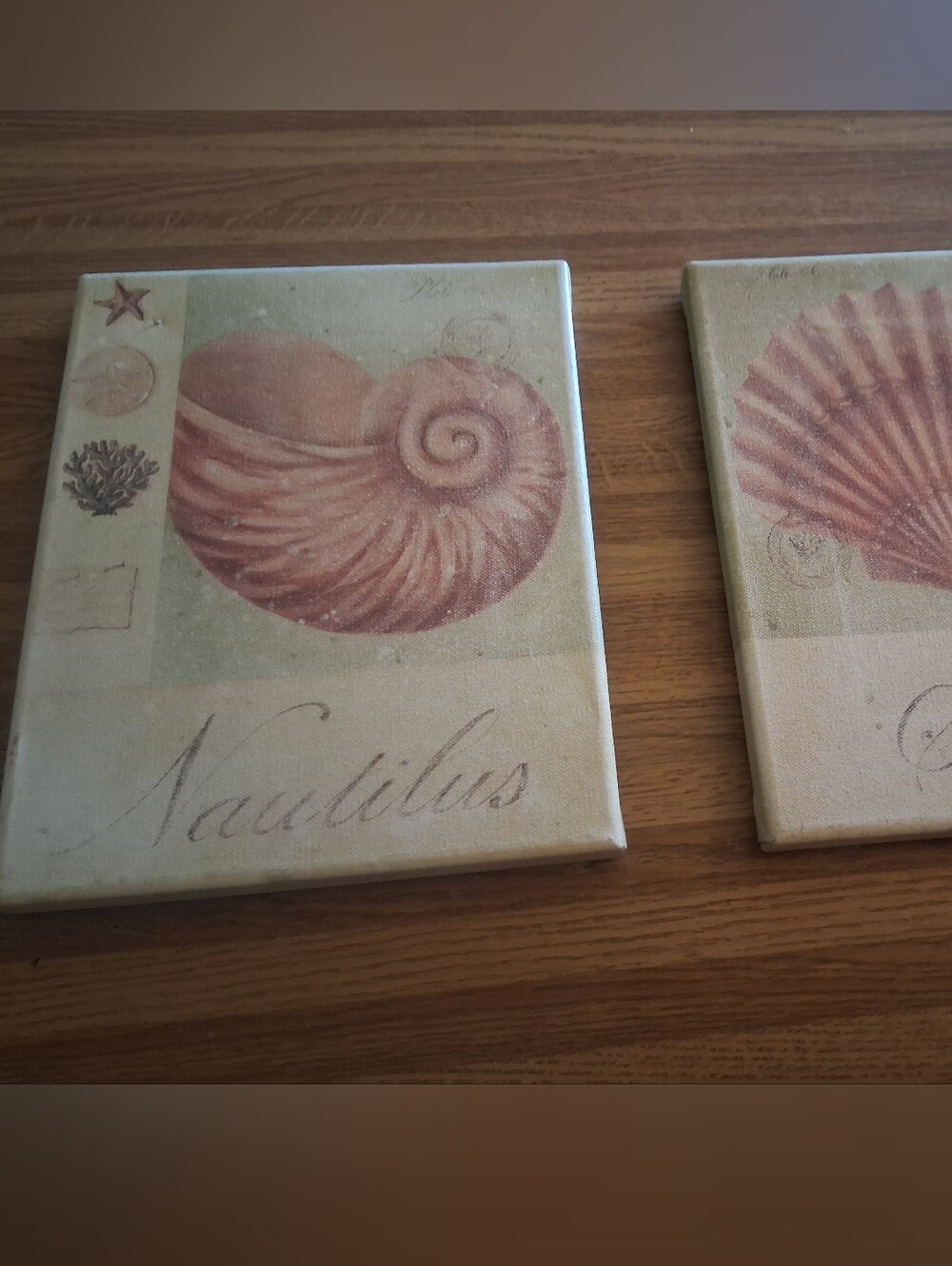 Coastal Shell Canvas Wall Art Pair in Beige and Coral